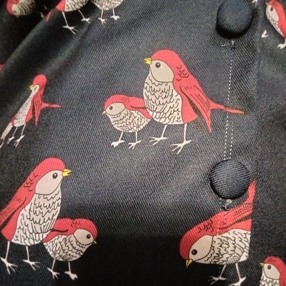 Miss Yan Bird Patterned Dark Academia Teacher Button Up Dress Size Small - Picture 3 of 13